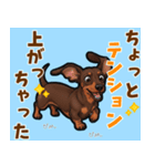 毎日使える♪ダックスの気持ちメッセージ（個別スタンプ：9）