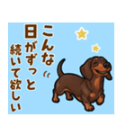 毎日使える♪ダックスの気持ちメッセージ（個別スタンプ：11）