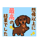 毎日使える♪ダックスの気持ちメッセージ（個別スタンプ：13）