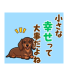 毎日使える♪ダックスの気持ちメッセージ（個別スタンプ：14）