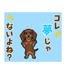 毎日使える♪ダックスの気持ちメッセージ（個別スタンプ：15）