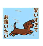 毎日使える♪ダックスの気持ちメッセージ（個別スタンプ：16）