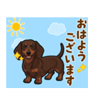 毎日使える♪ダックスの気持ちメッセージ（個別スタンプ：17）