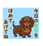 毎日使える♪ダックスの気持ちメッセージ（個別スタンプ：18）