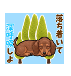 毎日使える♪ダックスの気持ちメッセージ（個別スタンプ：21）