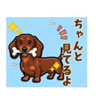 毎日使える♪ダックスの気持ちメッセージ（個別スタンプ：22）