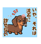 毎日使える♪ダックスの気持ちメッセージ（個別スタンプ：23）