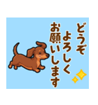 毎日使える♪ダックスの気持ちメッセージ（個別スタンプ：24）