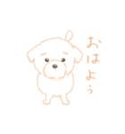 タフィ・ザ・チワプー1（白い犬の日常）（個別スタンプ：1）