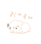 タフィ・ザ・チワプー1（白い犬の日常）（個別スタンプ：2）
