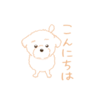 タフィ・ザ・チワプー1（白い犬の日常）（個別スタンプ：3）