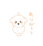 タフィ・ザ・チワプー1（白い犬の日常）（個別スタンプ：4）