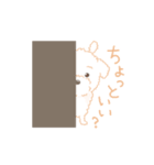 タフィ・ザ・チワプー1（白い犬の日常）（個別スタンプ：6）