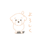 タフィ・ザ・チワプー1（白い犬の日常）（個別スタンプ：10）