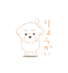 タフィ・ザ・チワプー1（白い犬の日常）（個別スタンプ：12）