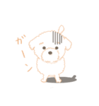 タフィ・ザ・チワプー1（白い犬の日常）（個別スタンプ：15）