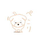 タフィ・ザ・チワプー1（白い犬の日常）（個別スタンプ：19）