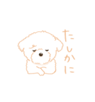タフィ・ザ・チワプー1（白い犬の日常）（個別スタンプ：25）