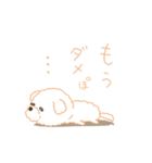 タフィ・ザ・チワプー1（白い犬の日常）（個別スタンプ：29）