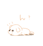 タフィ・ザ・チワプー1（白い犬の日常）（個別スタンプ：30）