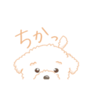 タフィ・ザ・チワプー1（白い犬の日常）（個別スタンプ：33）