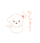 タフィ・ザ・チワプー1（白い犬の日常）（個別スタンプ：35）