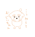 タフィ・ザ・チワプー1（白い犬の日常）（個別スタンプ：37）