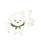 タフィ・ザ・チワプー1（白い犬の日常）（個別スタンプ：39）
