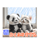 初夏♡かわいいパンダとネコ（個別スタンプ：5）