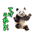 宮崎弁☆パンダ（個別スタンプ：9）