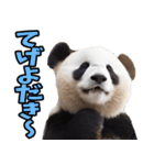 宮崎弁☆パンダ（個別スタンプ：11）