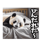 宮崎弁☆パンダ（個別スタンプ：36）