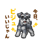 ミニチュアシュナウザーの気持ち伝える日常（個別スタンプ：2）