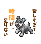 ミニチュアシュナウザーの気持ち伝える日常（個別スタンプ：3）