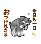 ミニチュアシュナウザーの気持ち伝える日常（個別スタンプ：5）