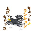 ミニチュアシュナウザーの気持ち伝える日常（個別スタンプ：9）