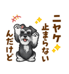 ミニチュアシュナウザーの気持ち伝える日常（個別スタンプ：10）
