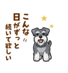 ミニチュアシュナウザーの気持ち伝える日常（個別スタンプ：11）