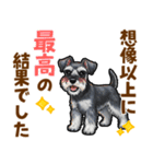 ミニチュアシュナウザーの気持ち伝える日常（個別スタンプ：13）