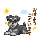 ミニチュアシュナウザーの気持ち伝える日常（個別スタンプ：17）