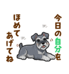 ミニチュアシュナウザーの気持ち伝える日常（個別スタンプ：18）