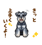 ミニチュアシュナウザーの気持ち伝える日常（個別スタンプ：19）