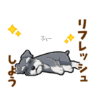ミニチュアシュナウザーの気持ち伝える日常（個別スタンプ：20）