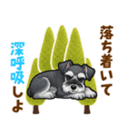 ミニチュアシュナウザーの気持ち伝える日常（個別スタンプ：21）