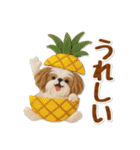 毎日使えるシーズーのグルメスタンプ（個別スタンプ：16）
