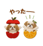 毎日使えるシーズーのグルメスタンプ（個別スタンプ：24）