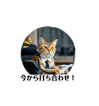動く猫達の日常と仕事（個別スタンプ：9）
