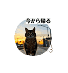 動く猫達の日常と仕事（個別スタンプ：12）