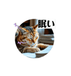 動く猫達の日常と仕事（個別スタンプ：14）
