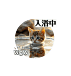 動く猫達の日常と仕事（個別スタンプ：15）